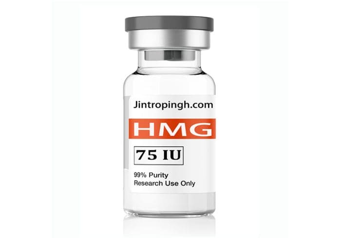 HMG 75iu 10 vials 1 kit - High Quality HMG Wholesale In Discount Price