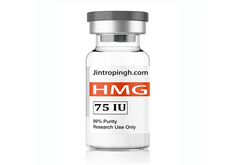 HMG 75iu 10 vials 1 kit - High Quality HMG Wholesale In Discount Price
